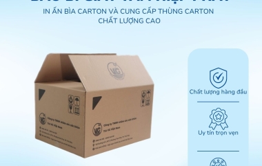 Báo giá in Offset thùng carton theo thiết kế riêng