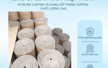 Cuộn carton 2 lớp và tấm carton phẳng khác nhau như thế nào?