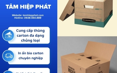 Quy trình đặt sản xuất thùng carton từ kích thước đến in logo