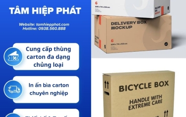 In Flexo thùng carton giá xưởng cho doanh nghiệp