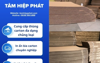 Mua tấm carton 3 lớp cắt theo kích thước giá tốt tại TP.HCM