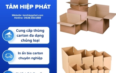 Mua hộp carton kích thước nhỏ ở đâu giá tốt?