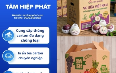 Thùng carton đóng nông sản xuất khẩu nên dùng loại nào?